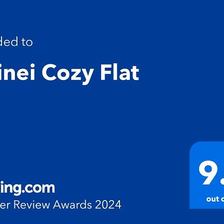 Doinei Cozy Flat Lejlighed Timişoara Eksteriør billede
