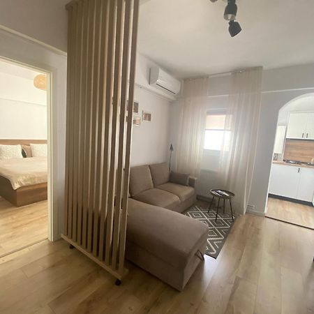 Doinei Cozy Flat Lejlighed Timişoara Eksteriør billede